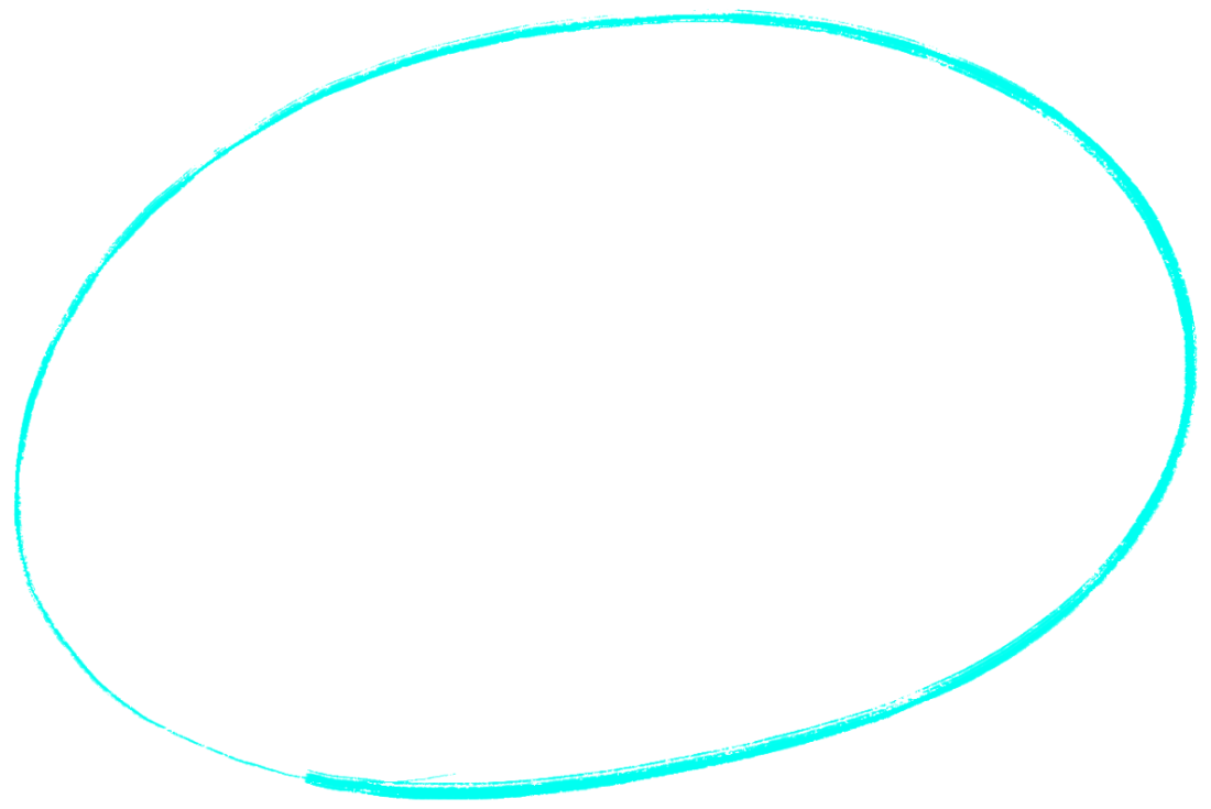 A hand drawn circle bringing attention to something important.
